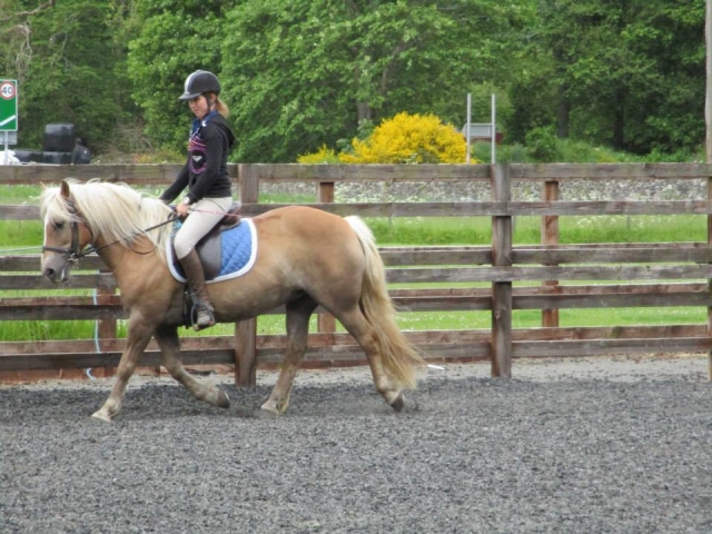 Dressage at Borlum Farm
