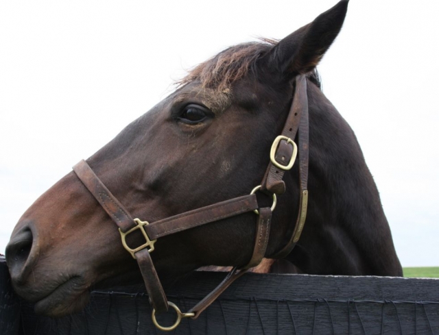  Mit Blick auf die schöne Landschaft! 