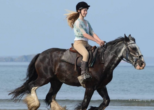 Beach riding