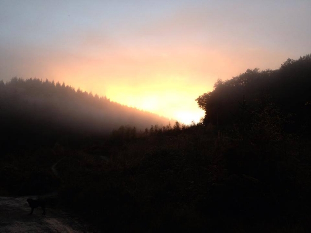  美丽的迪恩森林 