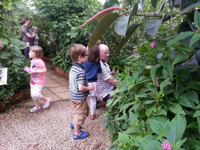 Una fantastica giornata in famiglia 