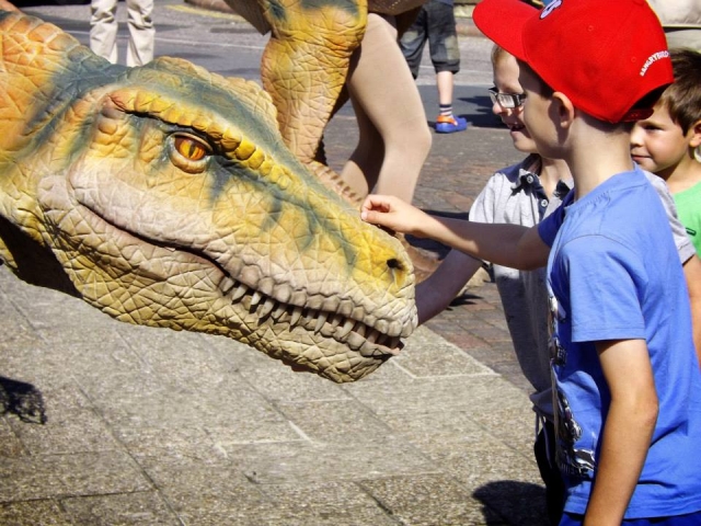 Petting the dinosaurs