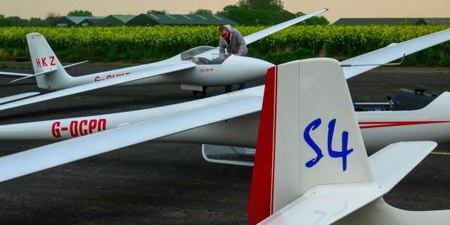 Look at our beautiful gliders!