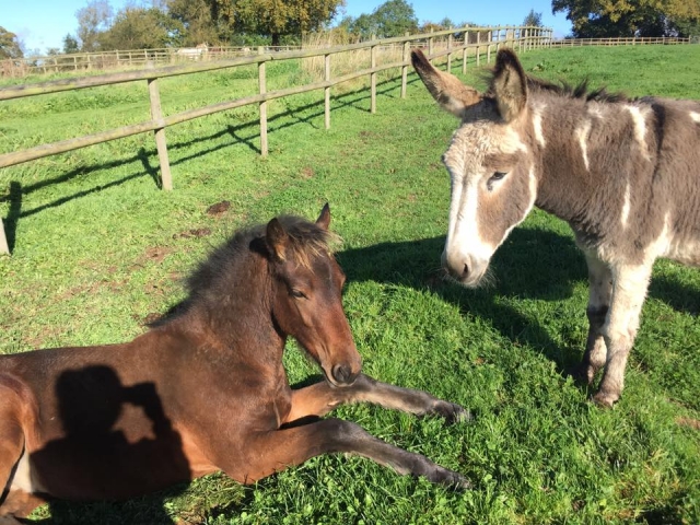  ¡Visite nuestro Arena Abierta!  
