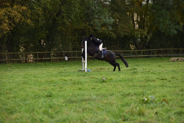  Showjumping en Country Treks Equestrian Center 
