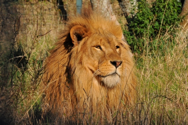 Combe Martin Wildlife Park