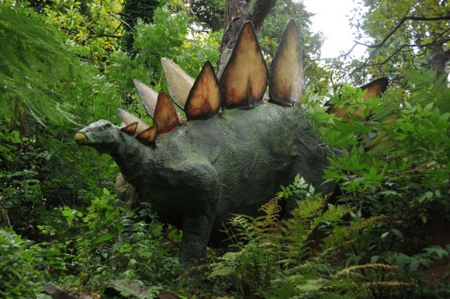 Come and learn about dinosaurs