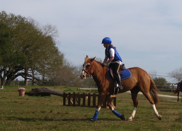  Dresión con Centro de Trekking & Trail Riding-Riding 