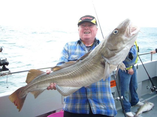 A 24.5lbs Cod