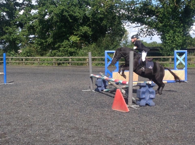  Corsi di salto ostacoli all'Albourne Equestrian Center