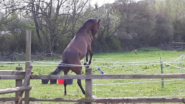 Jump for joy! 