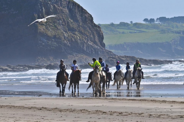 Horseback Riding Tours in North West England: 7 prices & offers 2026 ...