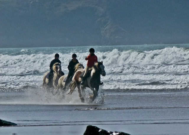  Balade en bord de mer 