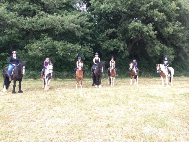  Cavalca un cavallo con i tuoi amici! 