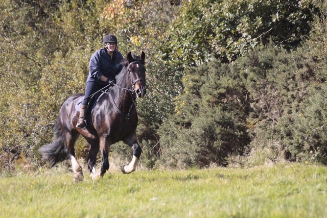  Hacking abierto con Marros Riding Center 