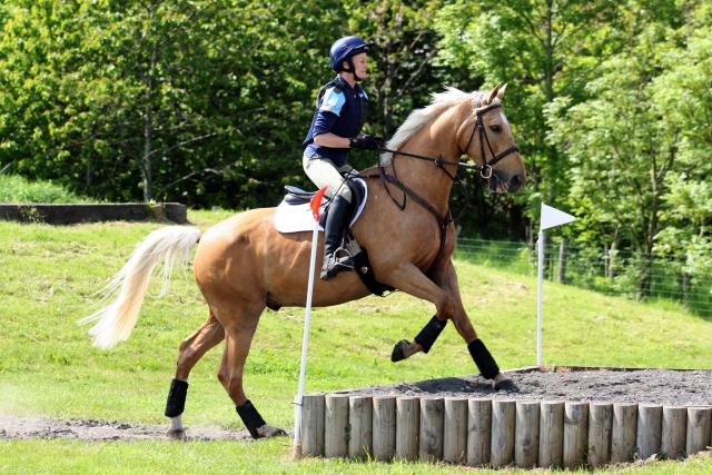  Kommen Sie mit uns reiten! 
