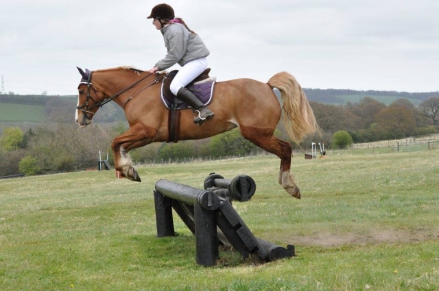 Ivesley Equestrian Centre