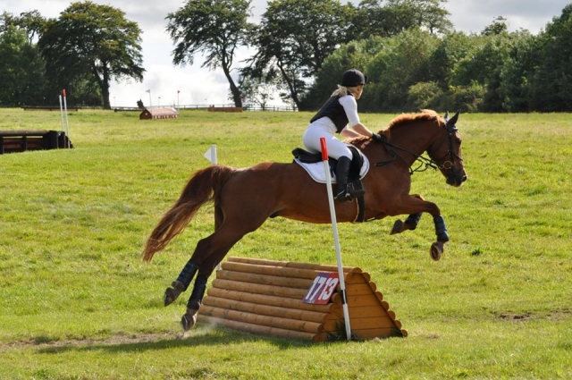 Showjumping!