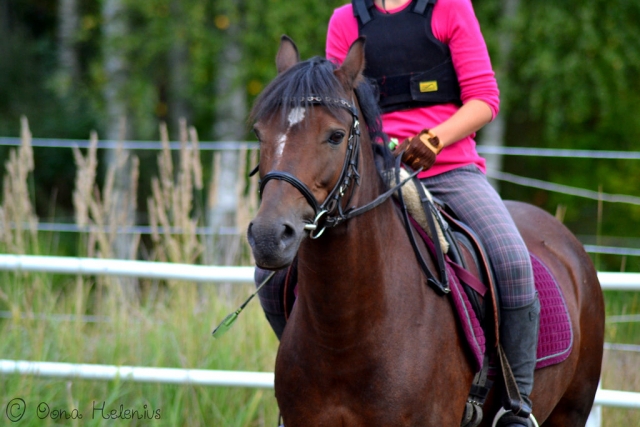  Ruhige Fahrten auf unseren Anlagen. 