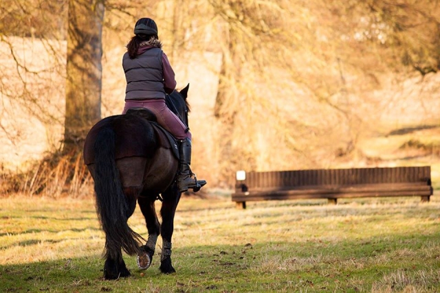 We are a great horse riding school! 