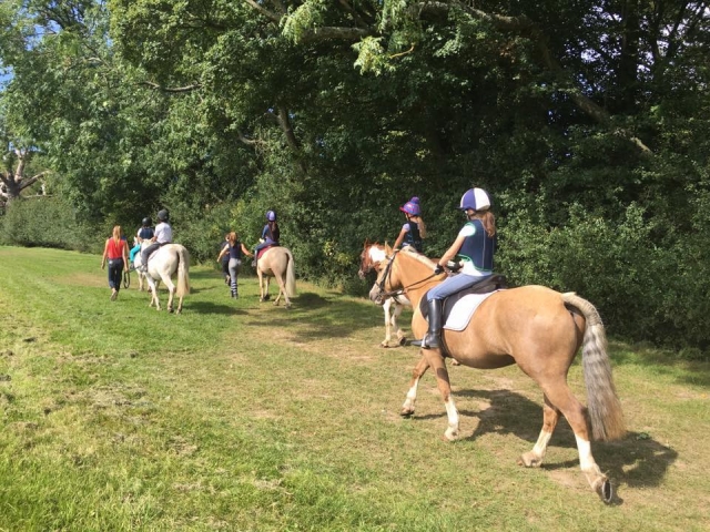 Practice horse riding in groups! 
