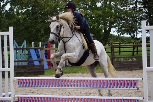Showjumping at Shardeloes Farm & Equestrian Centre