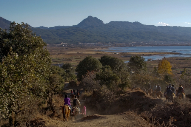  Kommen Sie mit Ihrer ganzen Familie zu Woolacombe Riding Stables