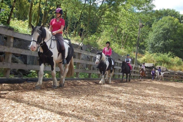  Grupo Riding