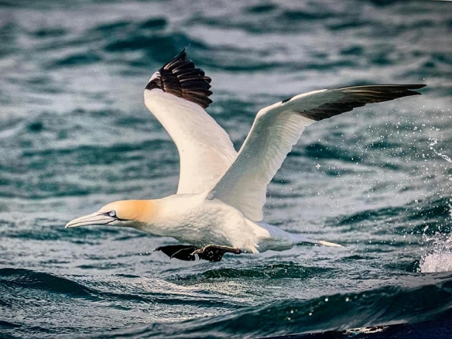  Avventure divertenti 