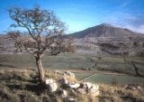 Ingleborough