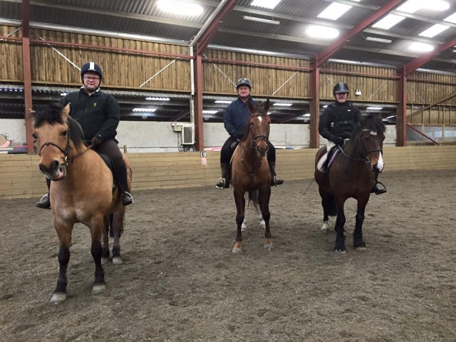 Alstone Alstone Court 骑马设施的团体课程