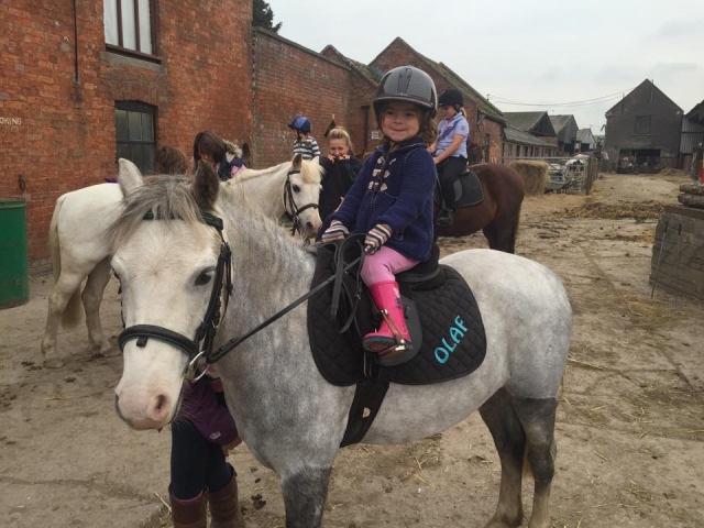 Alstone Alstone Court 骑马设施的儿童课程