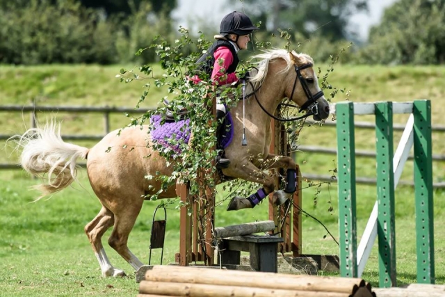 Showjumping! 