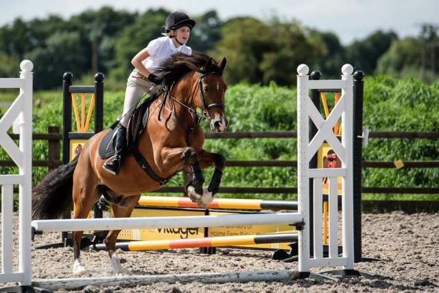 Intermediate Jumping