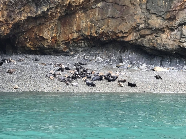  Goditi un'esperienza completa con la natura 