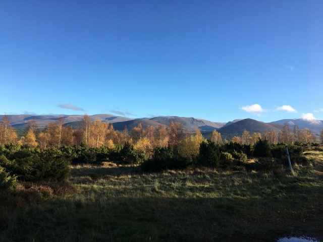  Cores bonitas nos envolvem 