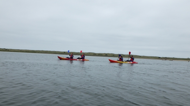  Tener una sesión grupal de kayaking