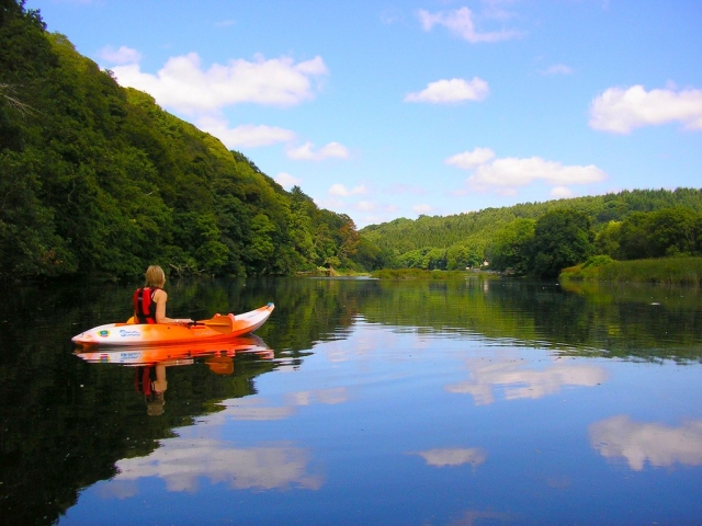 Aproveite o ambiente