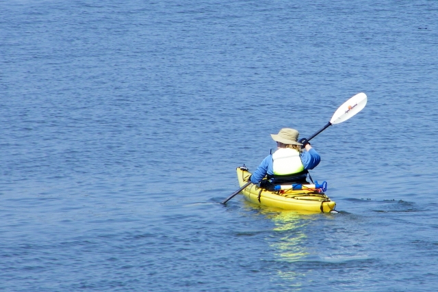 Aprenda novas habilidades