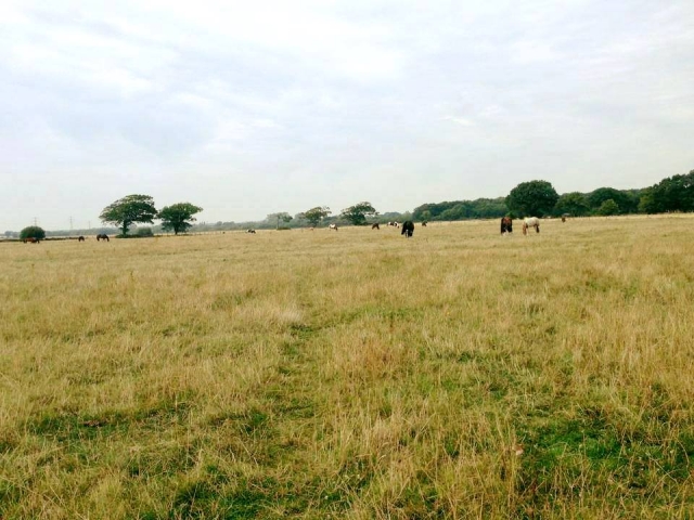Our vast spaces in Willowbrook Riding Centre