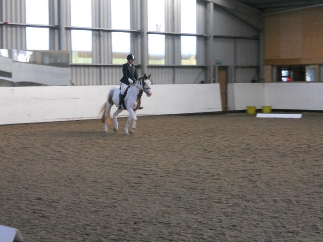 Dressage at Willowbrook Riding Centre