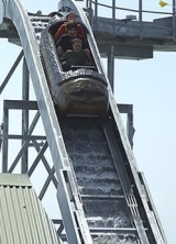 Log chute
