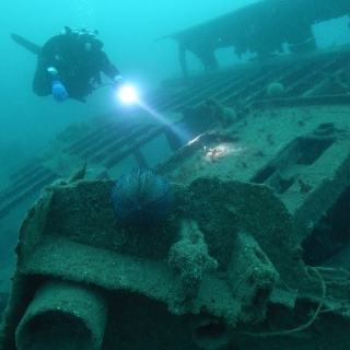Scuba Scene Taunton
