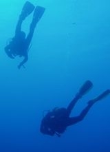  Profitez de la plongée avec d'autres 