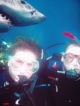  Plonger avec les requins pendant l'un de nos séjours plongée