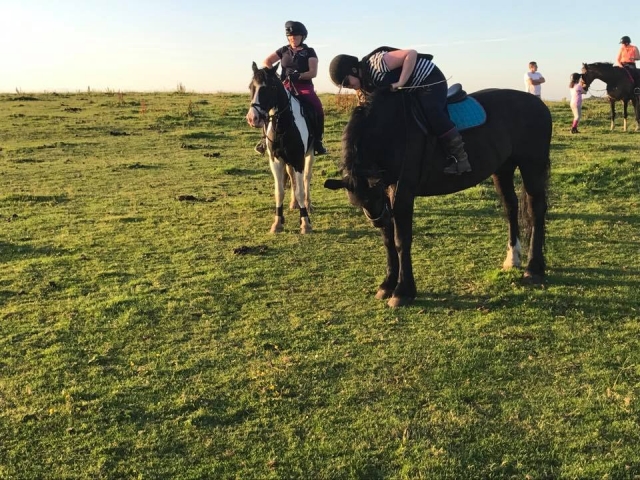 Open hacking with Busby Equitation Centre