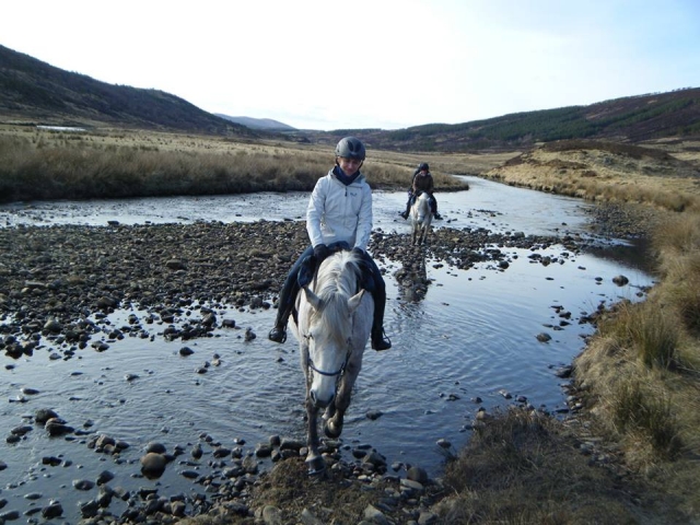 Cross-country with Highlands Unbridled