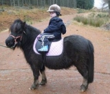 We have ponies suitable for younger children