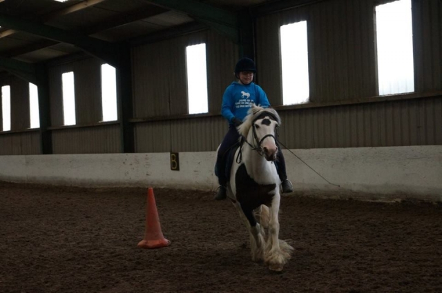  Dressage at Houston Farm Riding School 