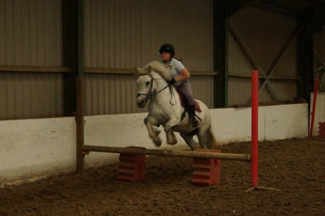  Showjumping at Houston Farm Riding School
